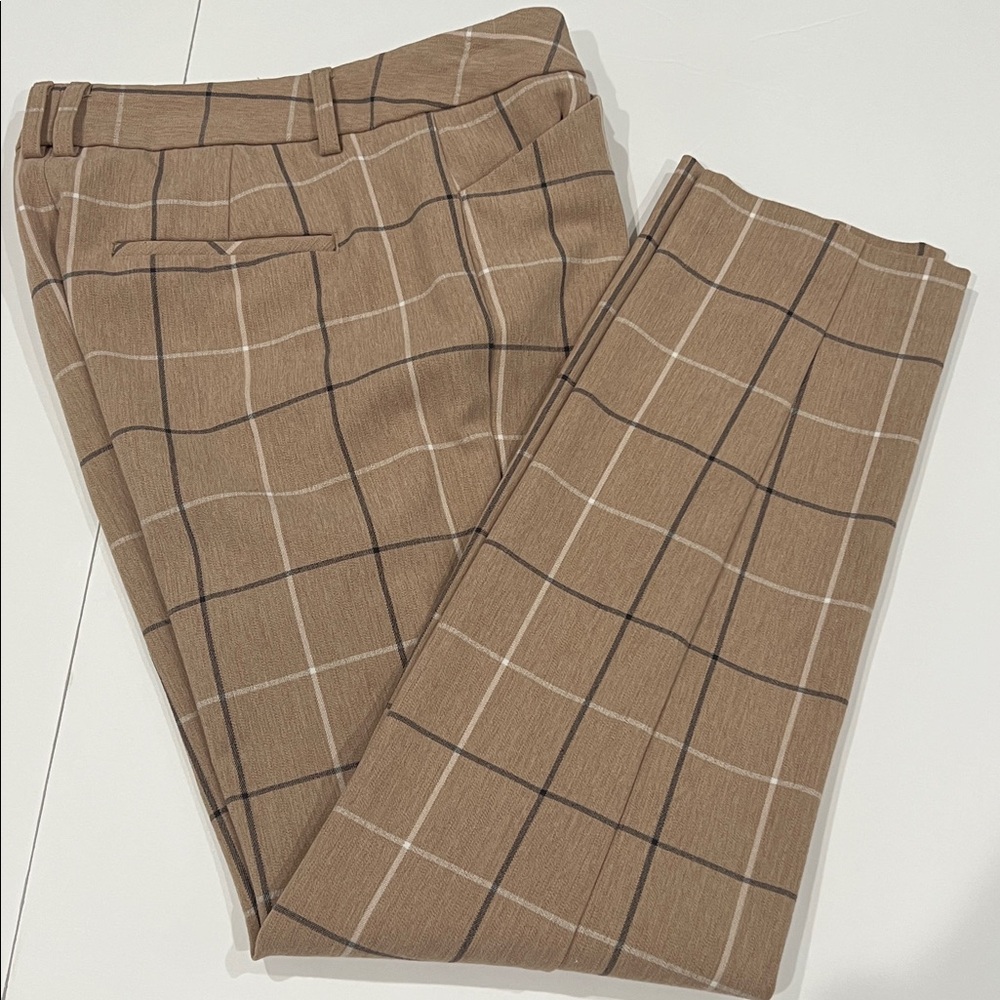 Express Dress Pants